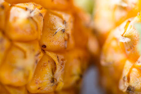 Close up of pineapple fruit, Tropical fruit in summer season, food background