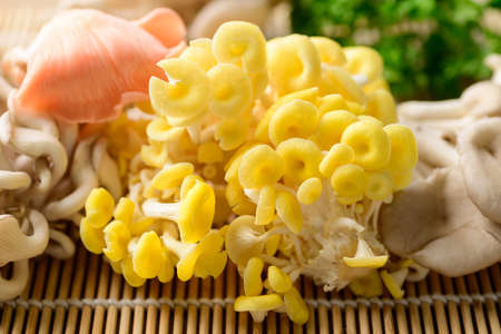Mixed fresh mushroom, Edible mushroom, Organic food ingredient