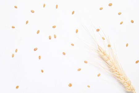 Whole wheat grain on white background, food ingredient, flat layの写真素材
