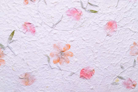 Mulberry paper sheet decorated with dry flower and leaf texture background