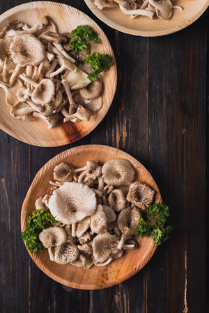 Fresh edible mushroom (Lentinus squarrosulus) in natural plate on wooden background, Organic food ingredients in seasonalの写真素材