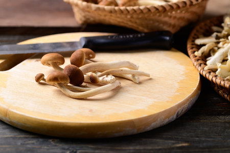 Fresh yanagi matsutake mushroom prepare for cooking on cutting wooden boardの写真素材