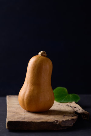 Butternut squash or butternut pumpkin on wooden with black background, Vegetables in autumn seasonの写真素材