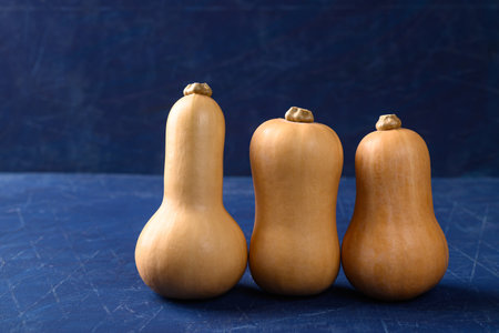 Butternut squash or butternut pumpkin on blue background, Vegetable in autumn seasonの写真素材