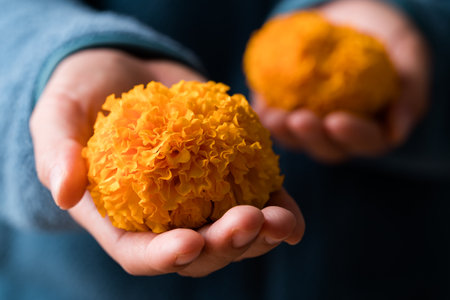 Yellow marigold flower in hand, Spiritual flowerの写真素材