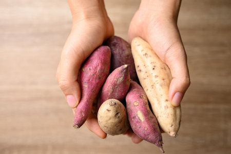 Organic Asian sweet potatoes holding by handの写真素材