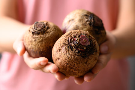 Fresh organic beetroot in hand, vegetables from local farmers market