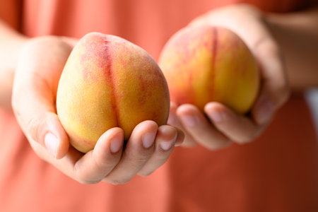 Ripe Peaches fruit holding by woman handの写真素材