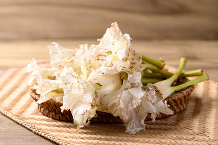 Thai edible flowers (Dolichandrone serrulata) from organic local farmers market in Northern of Thailandの写真素材