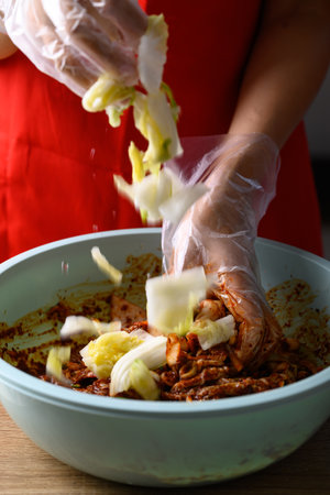 Korean food, Kimchi cabbage cooking with hand, Homemade fermented side dishの写真素材