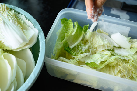 Kimchi cabbage cooking, Soaking cabbage with salt, Korean homemadeの写真素材