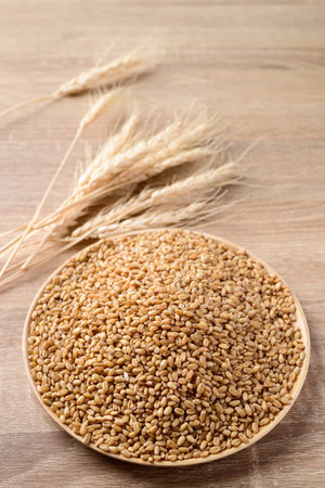 Whole wheat grain on plate with wooden background, Food ingredientsの写真素材