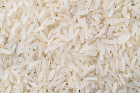 Thai Jasmine rice seed texture background, Organic rice, Healthy food ingredientの写真素材