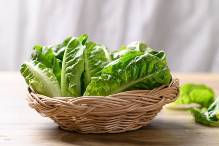 Organic cos romaine lettuce in basket on wooden table, Food ingredient for healthy saladの写真素材