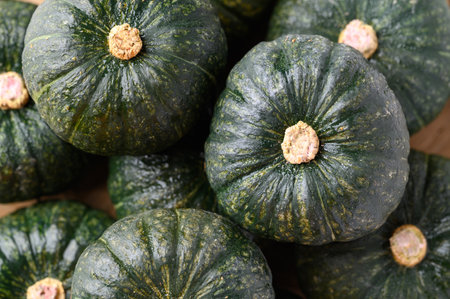 Green pumpkin or Japanese pumpkin, Vegetable in autumn season, Top viewの写真素材