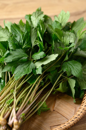 White mugwort in basket, Organic Asian vegetables and herbal medicineの写真素材