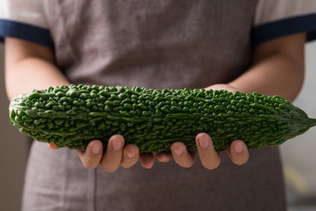 Bitter gourd holding by woman hand, Asian food ingredient and herbal medicineの写真素材