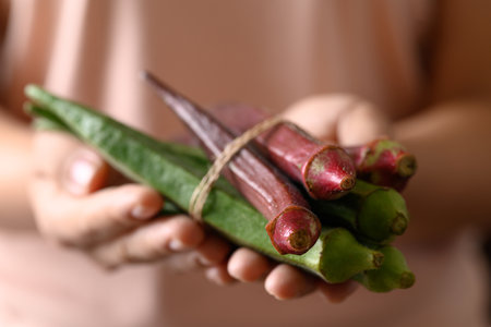 Fresh red and green okra holding by woman hand, Organic vegetable, Food ingredient
