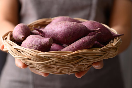 Organic raw purple sweet potatoes from local farmer market in basket holding by handの写真素材