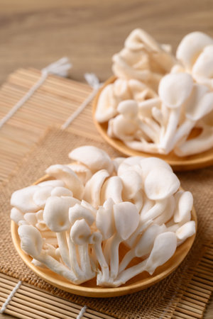 White Oyster Mushroom, Edible mushroom, Organic food ingredientの写真素材