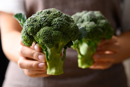 Organic raw broccoli holding by hand, Fresh vegetables, Healthy food ingredientの写真素材