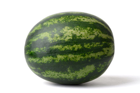 Fresh watermelon fruit on white background, Tropical fruit in summer seasonの写真素材