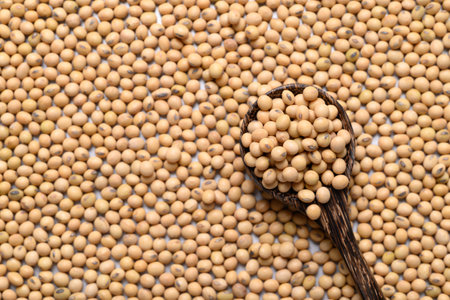 Soybean seeds in wooden spoon, Food ingredient, Top viewの写真素材