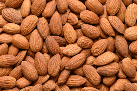 Raw almond nut seed texture background, Top viewの写真素材