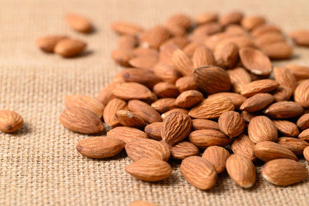 Raw almond nut seed texture backgroundの写真素材