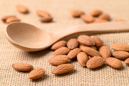 Raw almond nut seed with wooden spoonの写真素材
