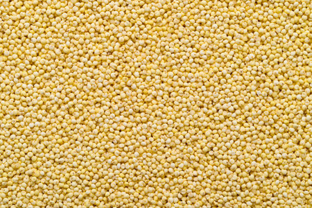 Yellow millet grain texture background, Food ingredientの写真素材