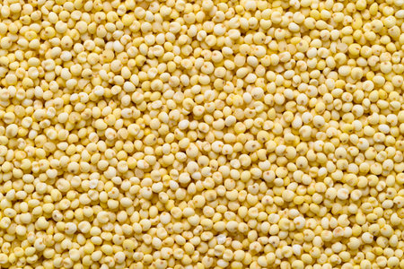 Yellow millet grain texture background, Food ingredient