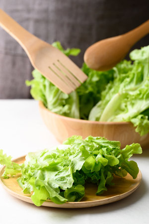 Organic green oak lettuce on wooden plate and bowl, Fresh vegetable, Healthy eatingの写真素材