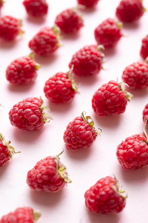 Fresh ripe raspberry with leaf on pink background, Summer fruitの写真素材