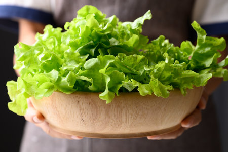 Organic green oak lettuce in wooden bowl holding by hand, Fresh vegetable, Healthy eatingの写真素材