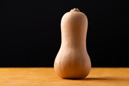 Fresh butternut squash on orange and black background, Vegetable in Autumn season, Food ingredientの写真素材
