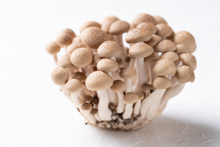 Fresh brown Shimeji mushroom on white background, edible mushroom, Food ingredientsの写真素材
