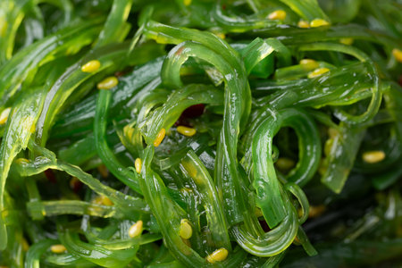Wakame seaweed salad with sesame seed texture background, Top viewの写真素材