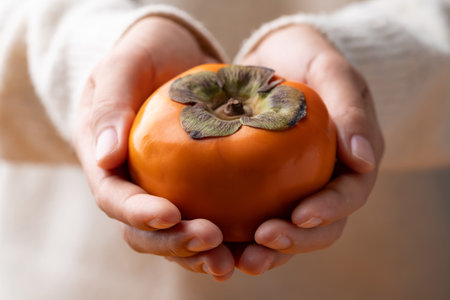 Ripe persimmon fruit holding by hand, Autumn fruitの写真素材