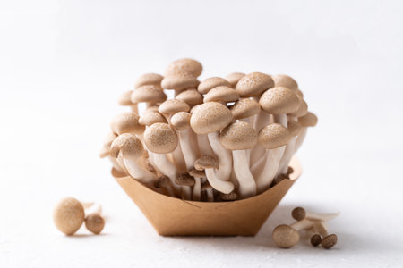 Fresh brown Shimeji mushroom in paper bowl on white background, Asian edible mushroom, Food ingredientsの写真素材