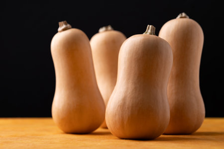 Fresh butternut squash on orange and black background, Vegetable in Autumn season, Food ingredientの写真素材