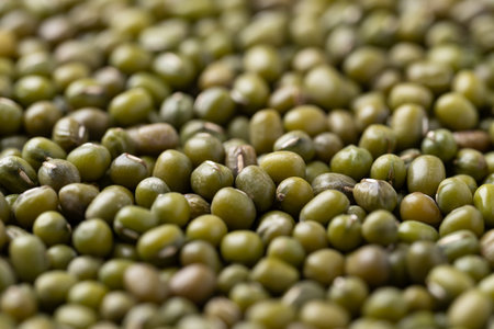 Mung bean texture background, Asian food ingredientの写真素材