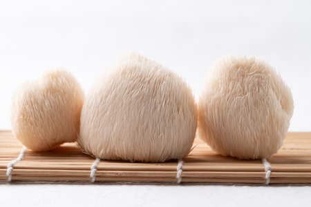 Lion's Mane mushroom or Yamabushitake mushroom on white background