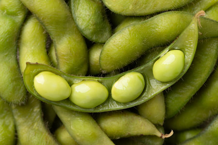 Boiled Edamame beans (Japanese soybeans), Food backgroundの写真素材