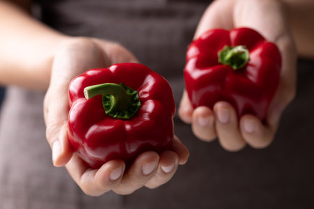 Fresh red bell pepper or sweet pepper holding by woman handの写真素材
