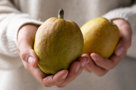 Fresh pear holding by woman handの写真素材