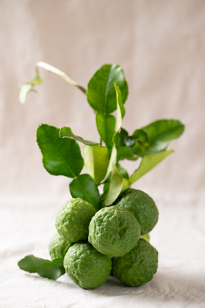 Kaffir lime fruit with leaf on white fabric background, Thai food ingredientの写真素材