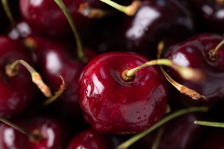Close-up of fresh red cherries with water droplets texture for background, ripe summer fruitの写真素材