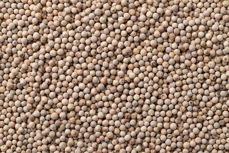 Close up of white peppercorns texture background, essential spices and seasoning for cooking