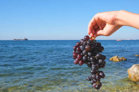 Black grapes against the background of the sea. Place for text.の写真素材